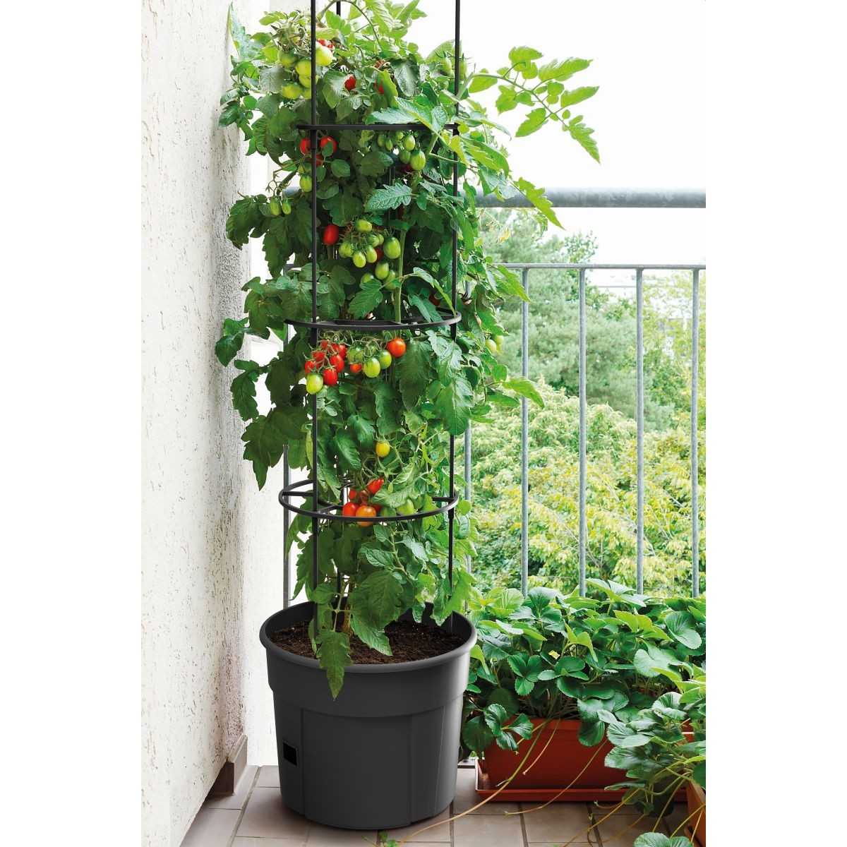 Vazonas pomidorų auginimui, 28 l 