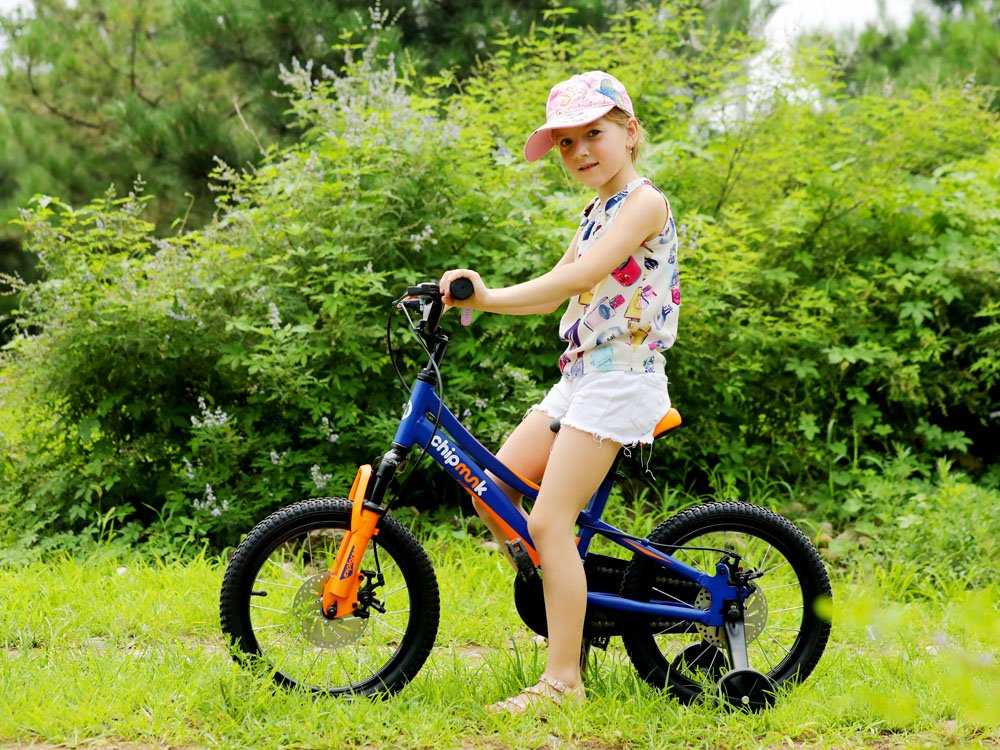 Vaikiškas dviratis Royal Baby Explorer Chipmunk 16, mėlynas