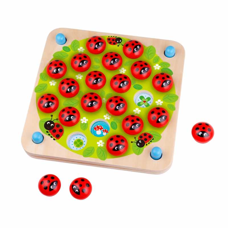 Atminties žaidimas Ladybug