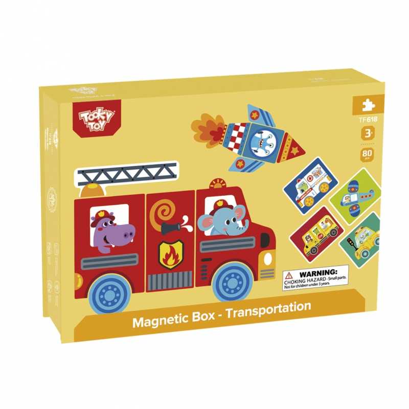 Edukacinė magnetinė dėlionė - Tooky Toy, 80 elementų