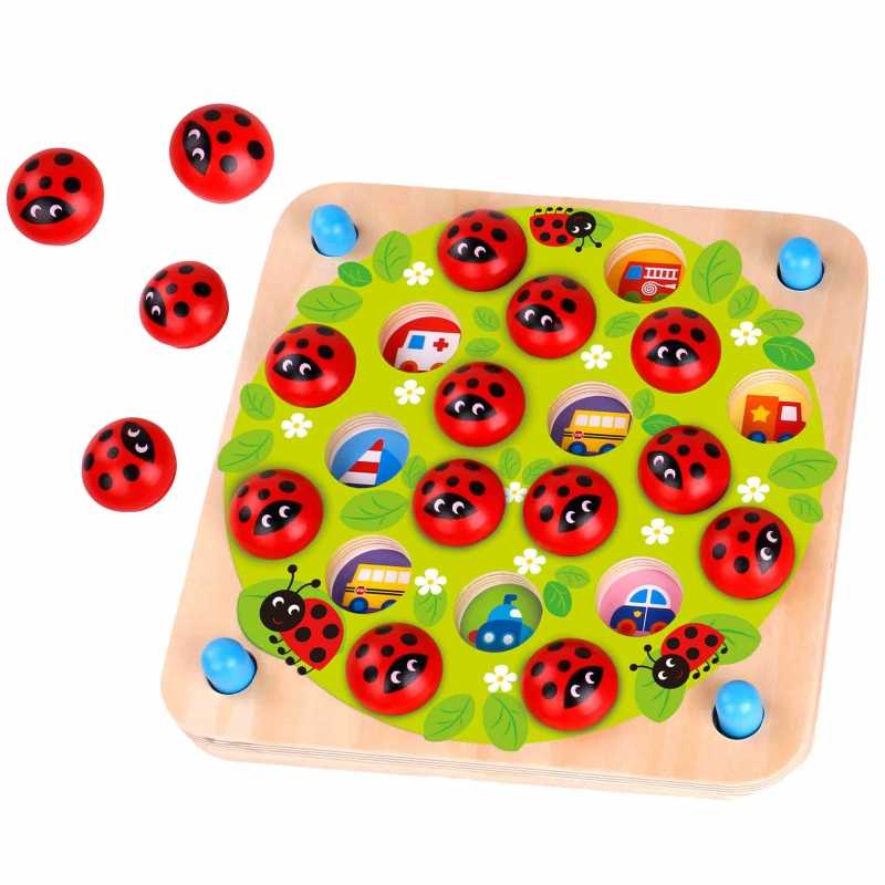 Atminties žaidimas Ladybug