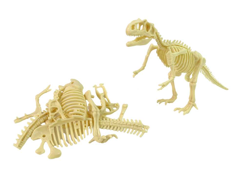 Archeologijos rinkinys - Dinozauro skeletas