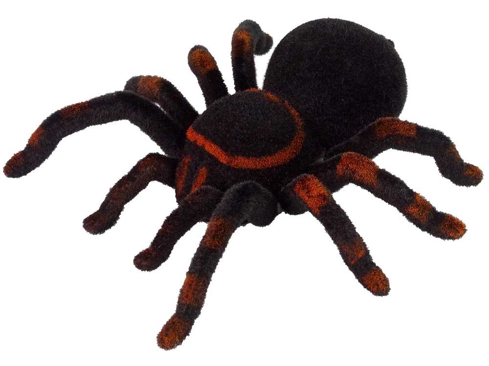 Nuotoliniu būdu valdomas voras, juodas 