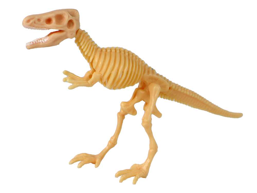Dinozauro skeletas kiaušinyje, 9 cm, 1vnt.