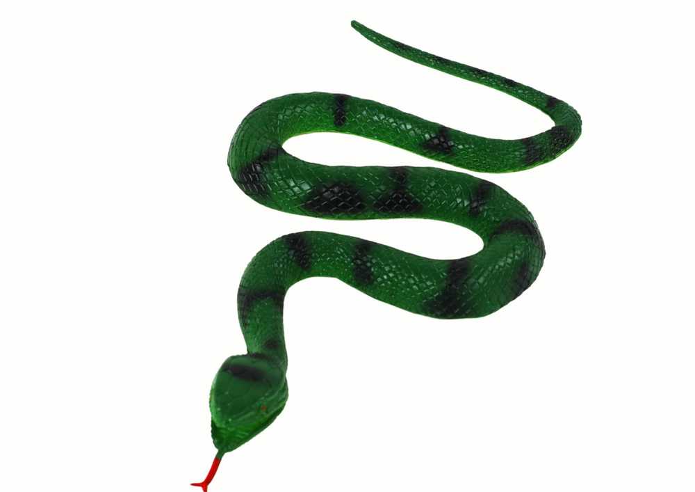 Guminė gyvatė, žalia