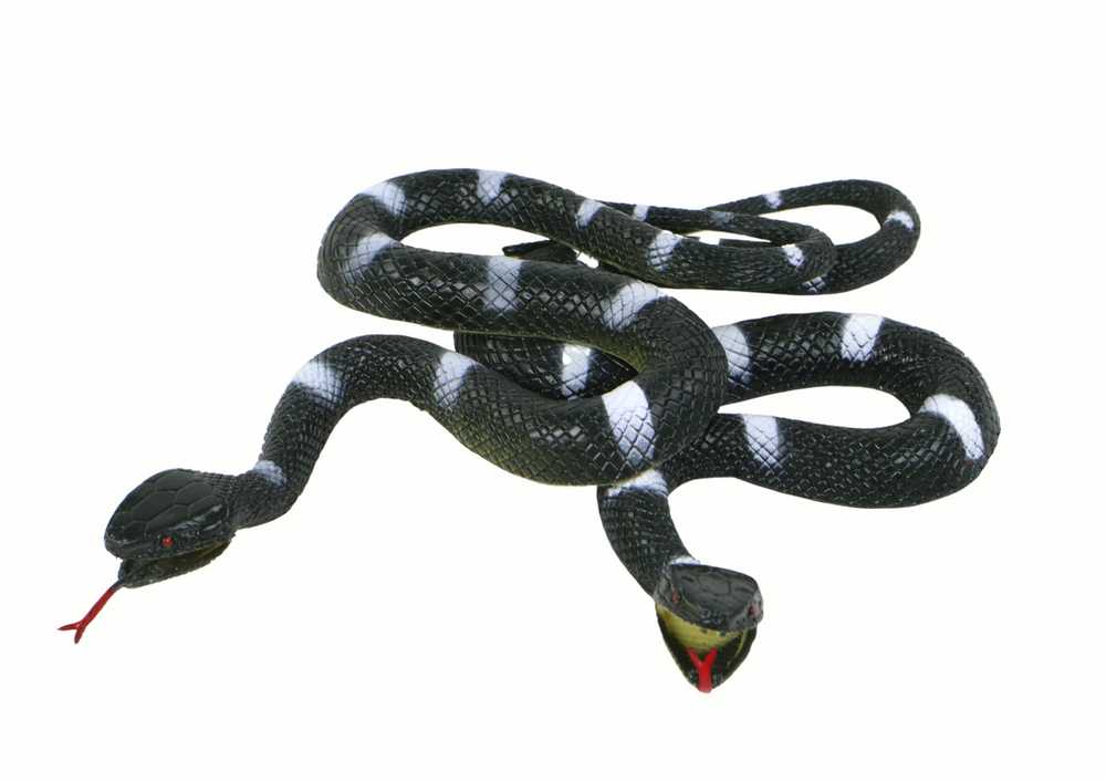 Guminė gyvatė, juoda