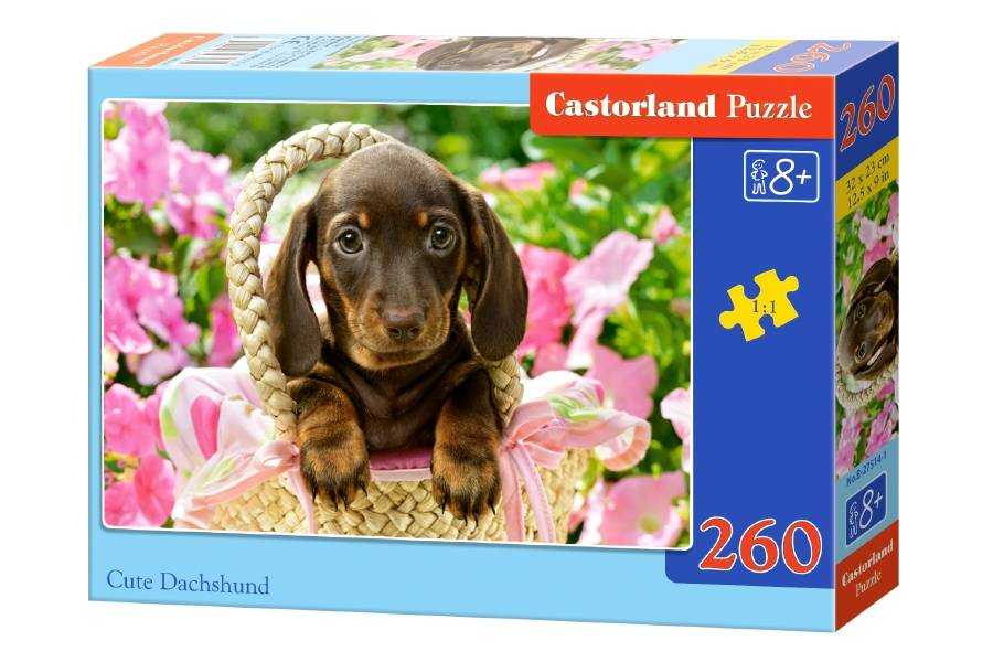 Dėlionė Castorland Cute Dachshund, 260 dalių