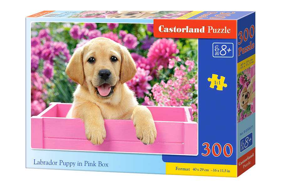 Dėlionė Castorland Labrador Puppy in Pink Box, 300 dalių