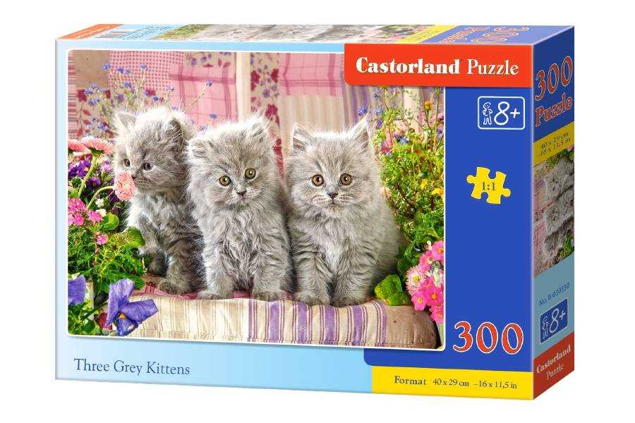 Dėlionė Castorland Three Grey Kittens, 300 dalių