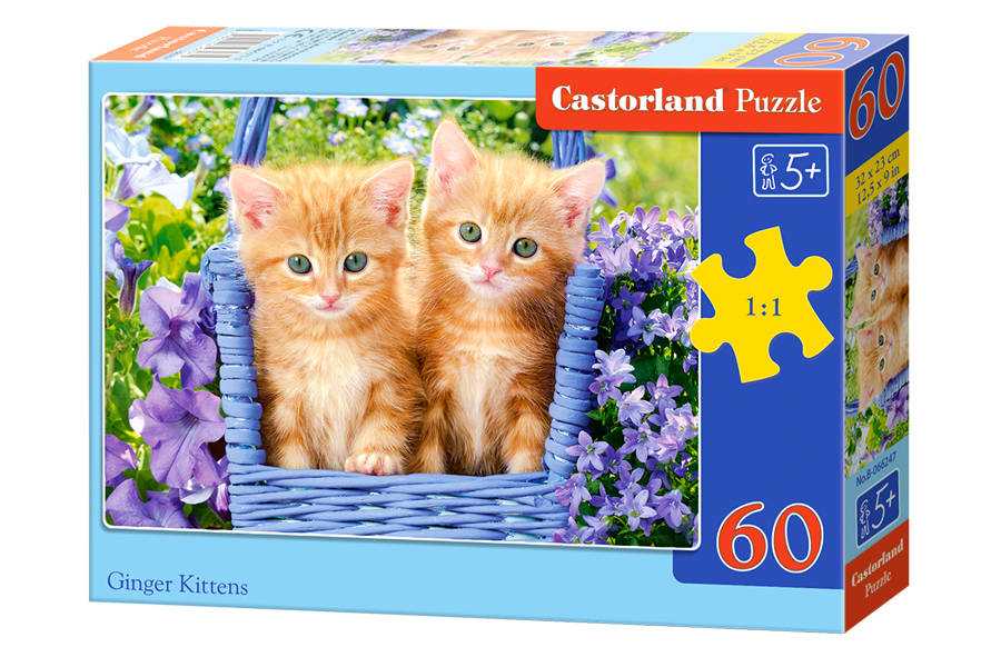 Dėlionė Castorland Ginger Kittens, 60 dalių