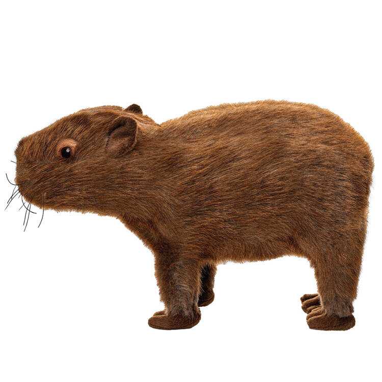 Pliušinis žaislas kapibara, 33 cm 