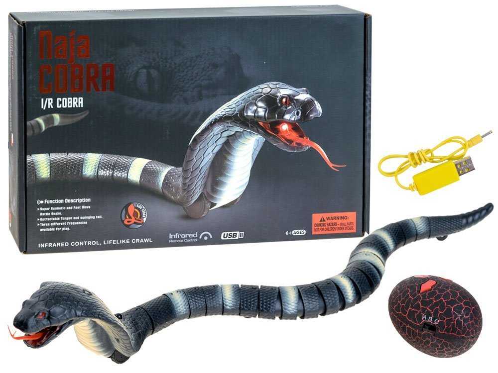 Nuotoliniu būdu valdoma gyvatė - kobra, juoda