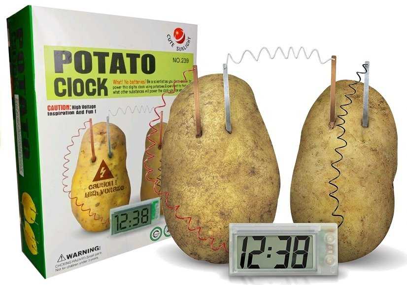 Kūrybinis rinkinys bulvė-laikrodis